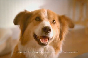purina dog commercial