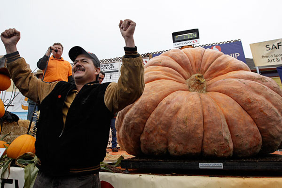 Happy Halloween! Do giant pumpkins have a size limit? - CSMonitor.com