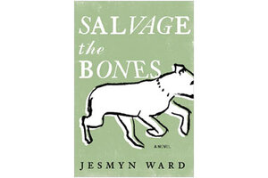 salvage the bones review
