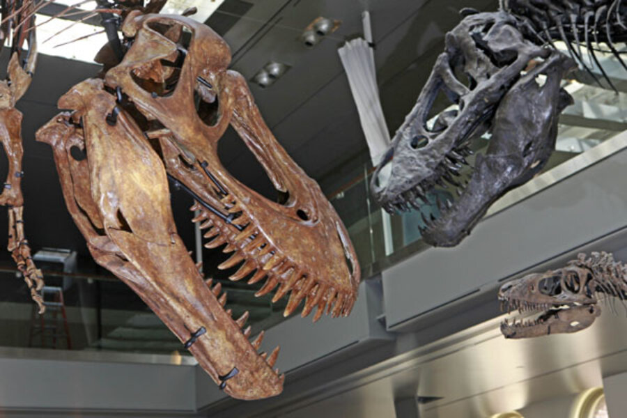 Take a Look at the Skeleton of a Pregnant T-Rex Dinosaur Called