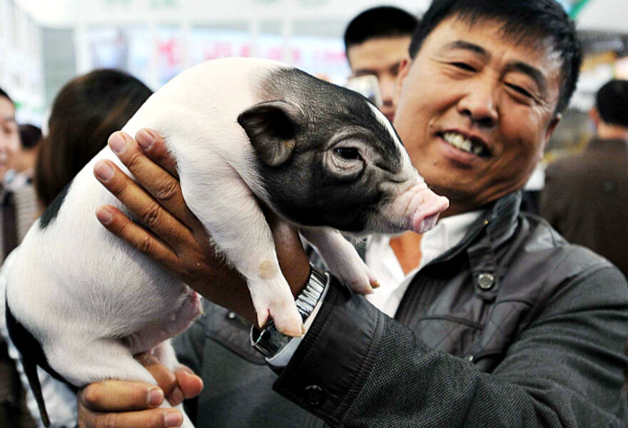 Pork without a pig? Meat from a lab could be the answer. Pork without a pig? Meat from a lab could be the answer.