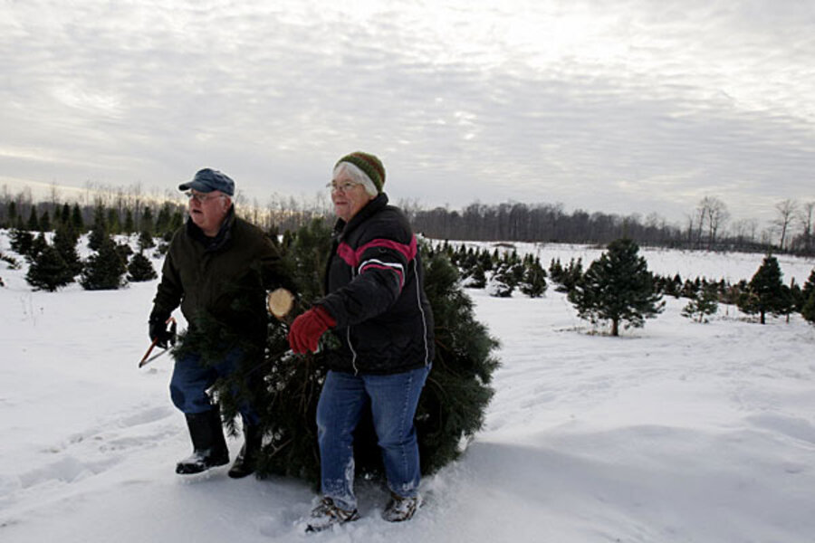 Christmas tree tax derided by conservatives, denied by White House ...
